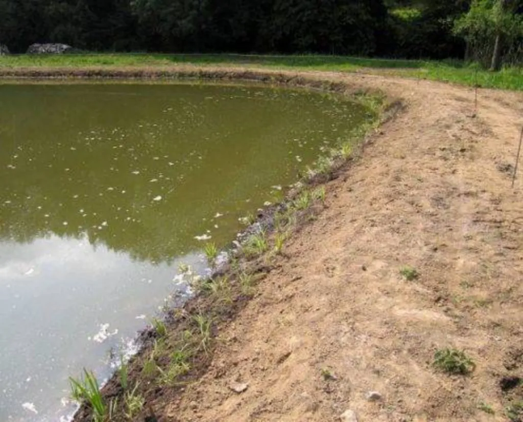Création et entretien de mare et plan d'eau dans l'Eure