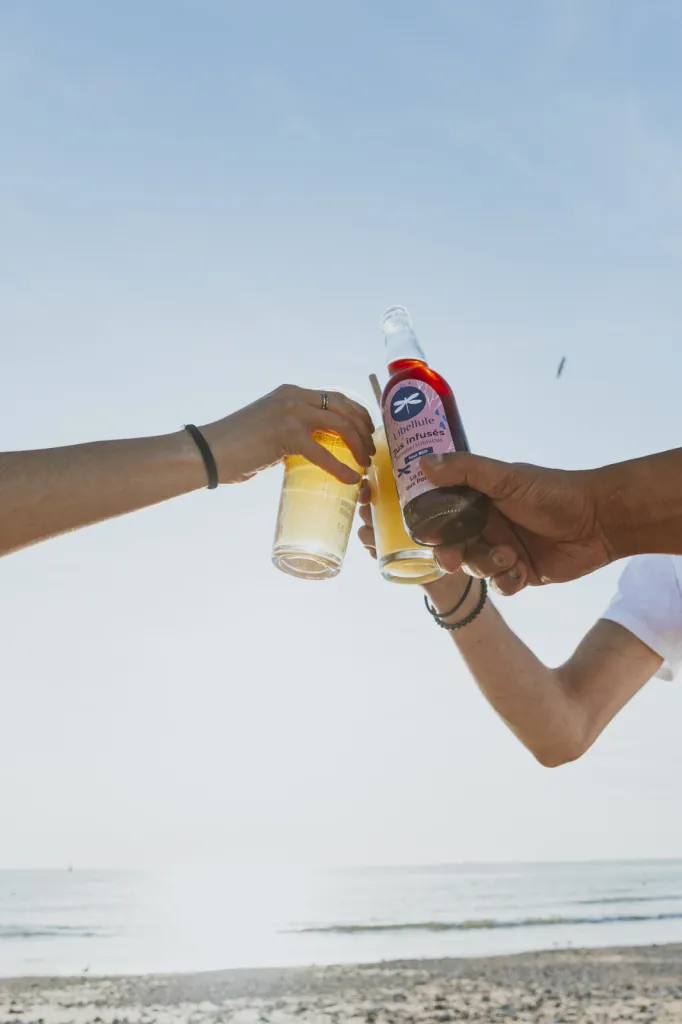 Jus Libellules - jus infusés bio de La Mare aux Pommes