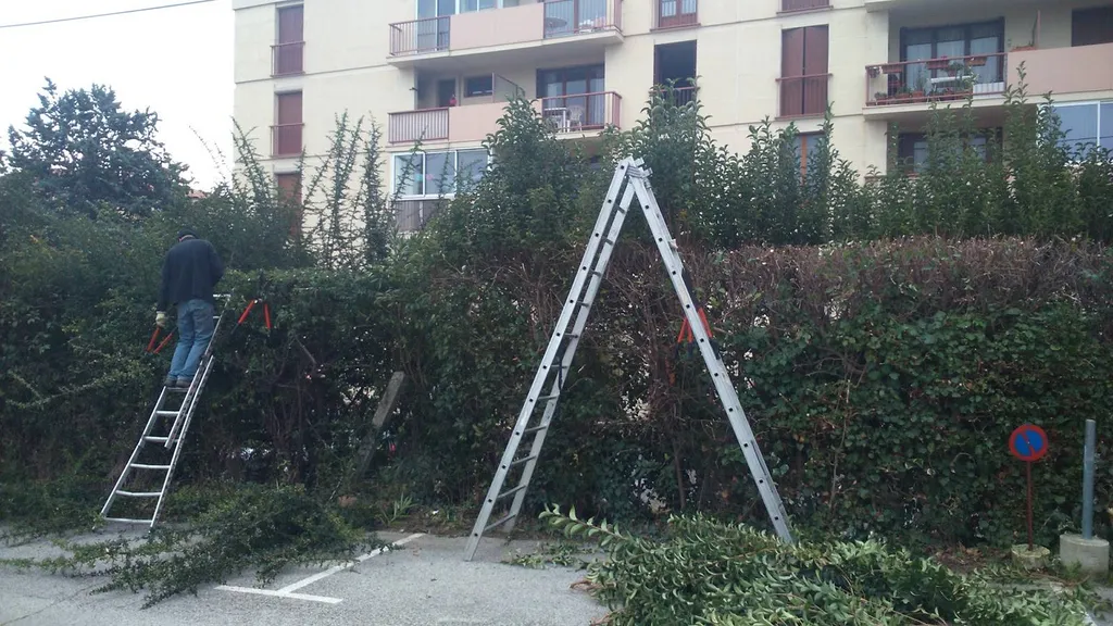 taille de haies copropriétés marseille