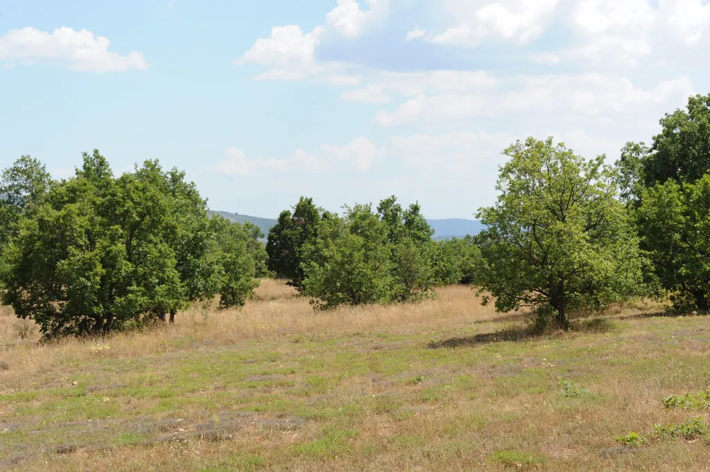 En vente dans les Monts du Vaucluse,  ferme provençale restaurée sur 35 hectares  