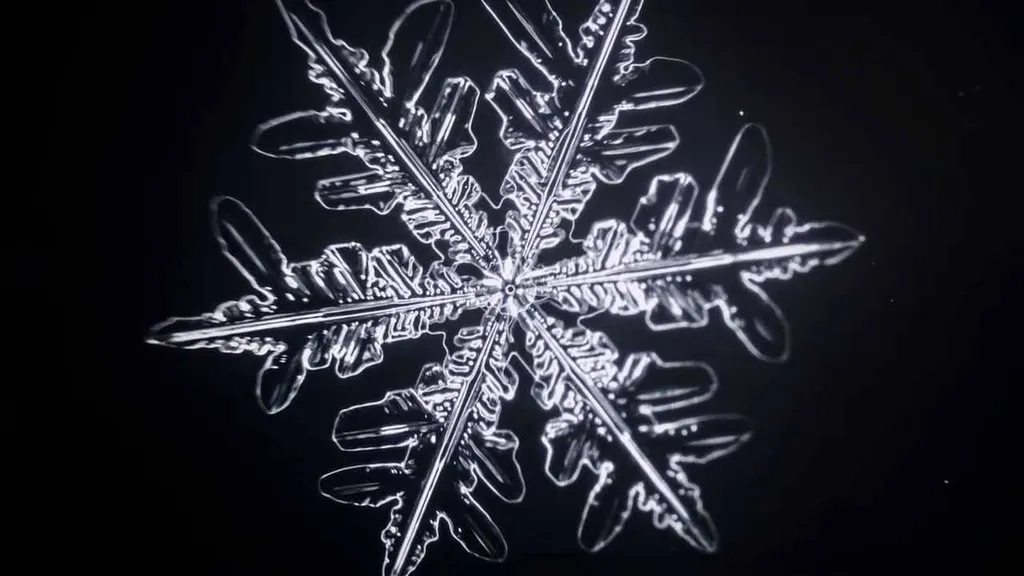 Transport en location pour marchandise frigo