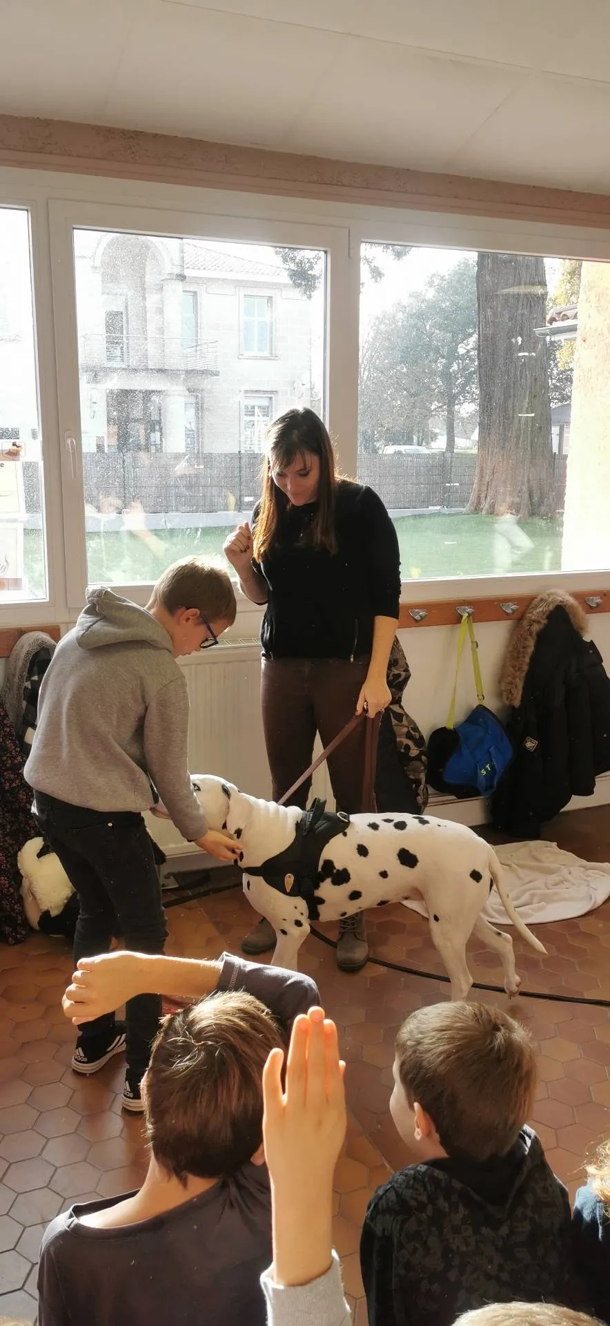 Paule lafon ecole prevention morsure 