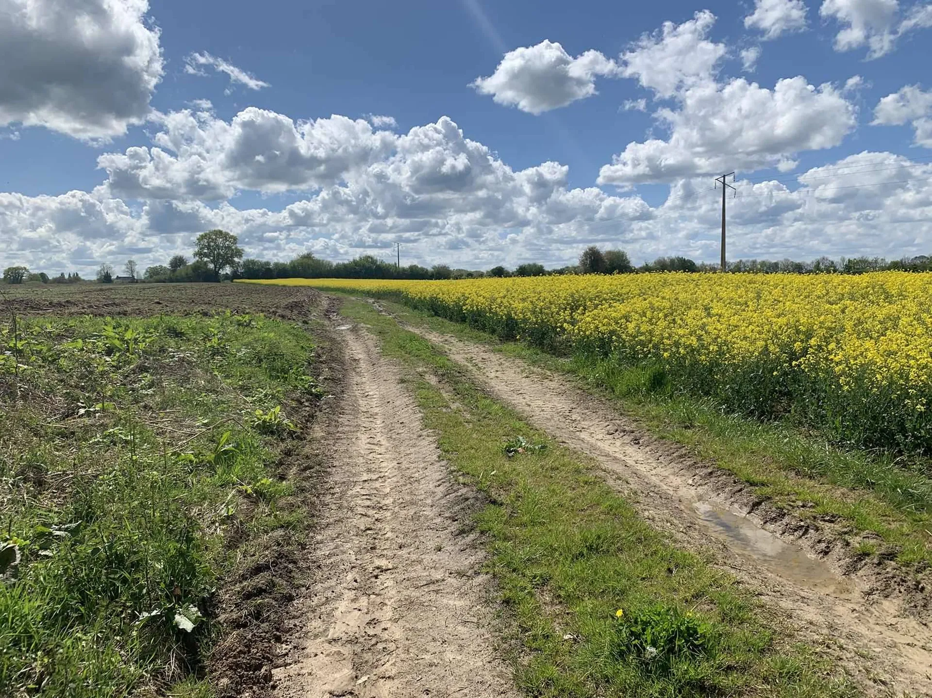 PAYS D'AUGE NORD : EN EXCLUSIVITE : A ACQUERIR REGION HONFLEUR : 35 HA de TERRES