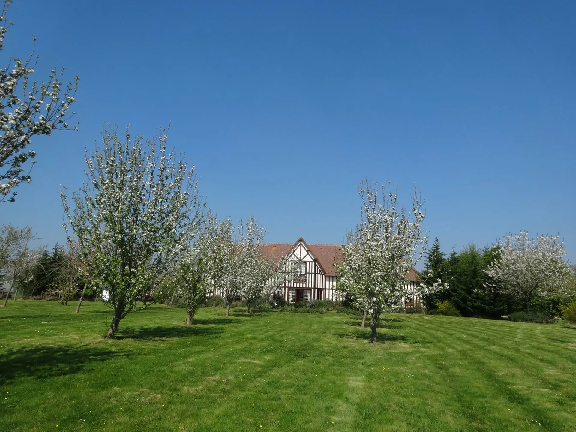 Terres et Demeures de Normandie Jardin arboré maison Deauville