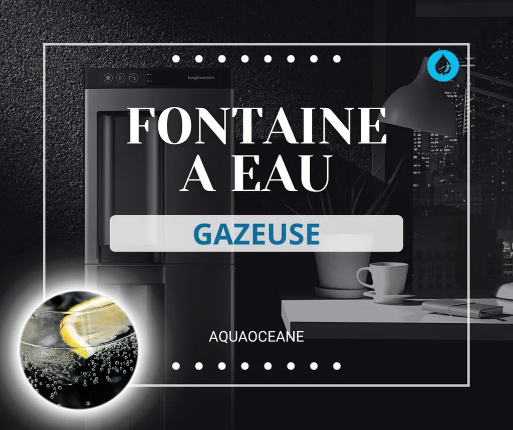Fontaine à eau gazeuse