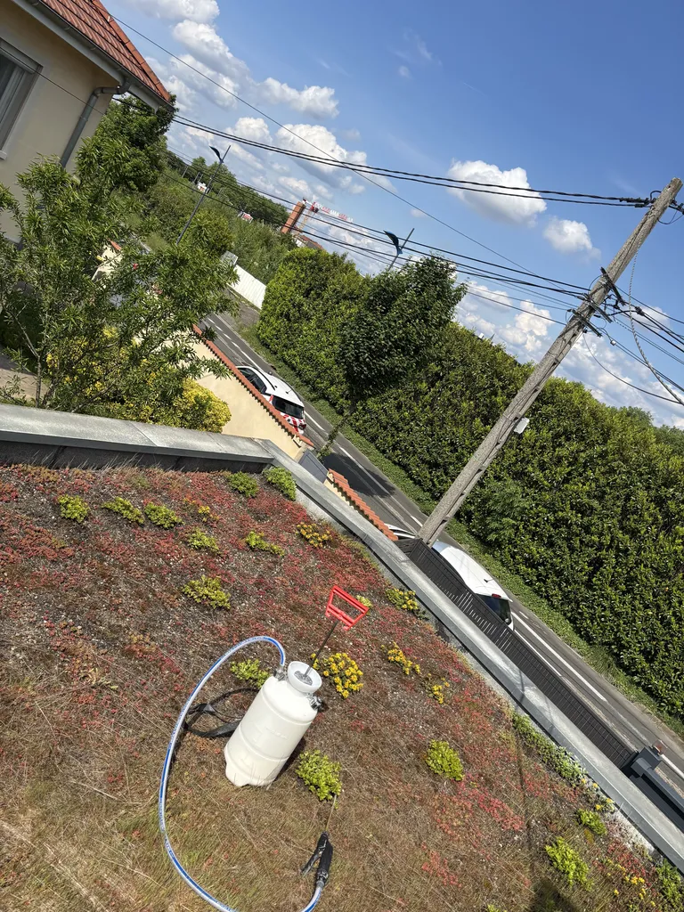 Destruction de nid de guêpes à Rillieux-la-Pape