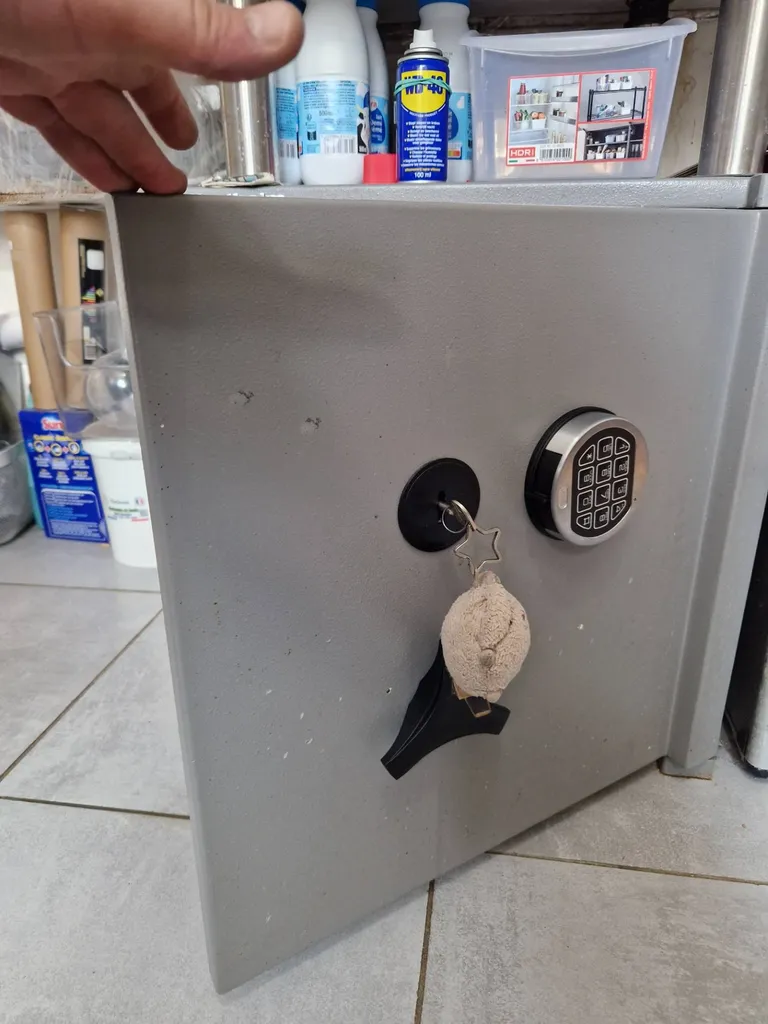 panne coffre-fort à roncq