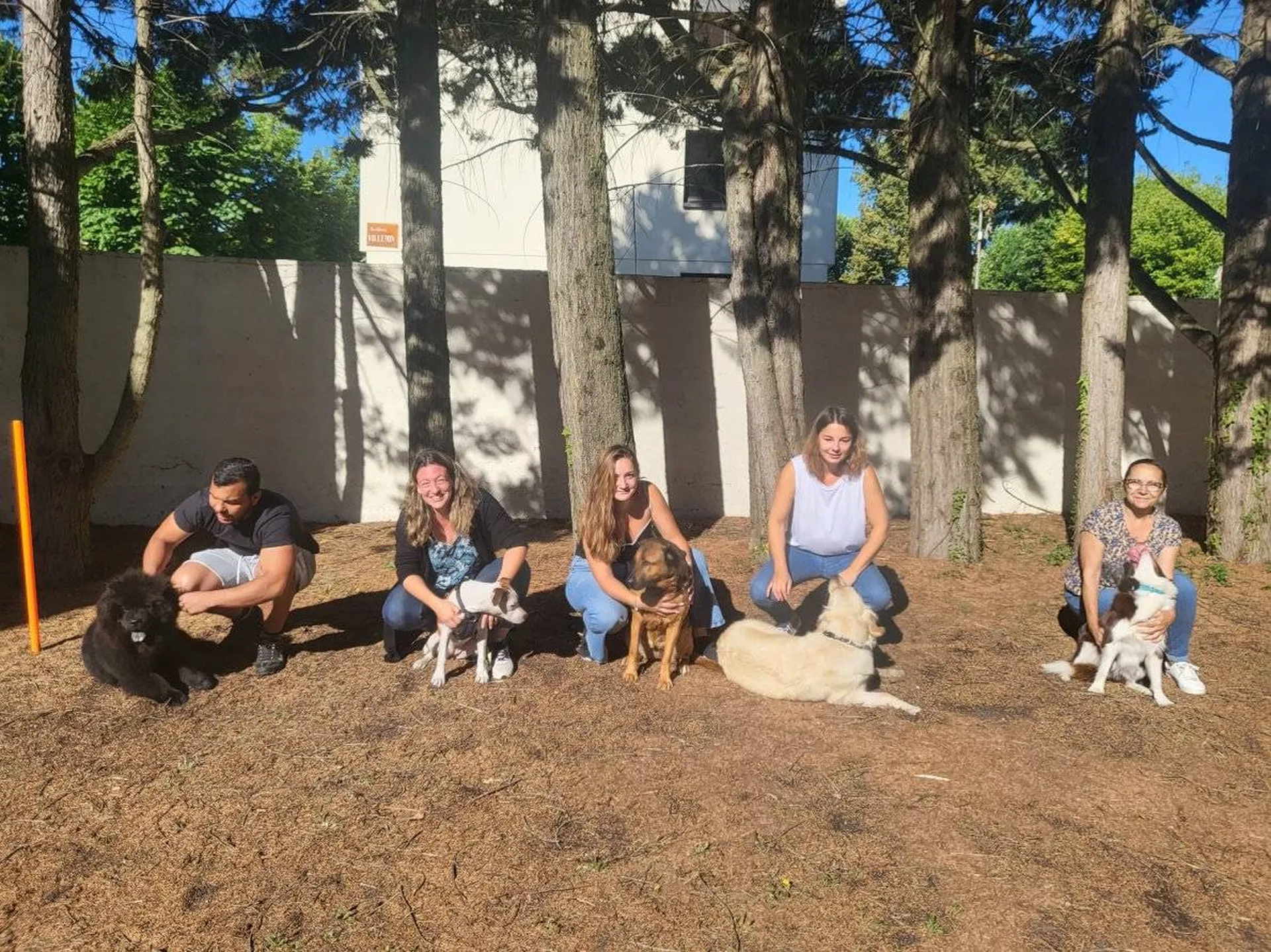 educateur canin en formation en gironde et bassin d'arcachon