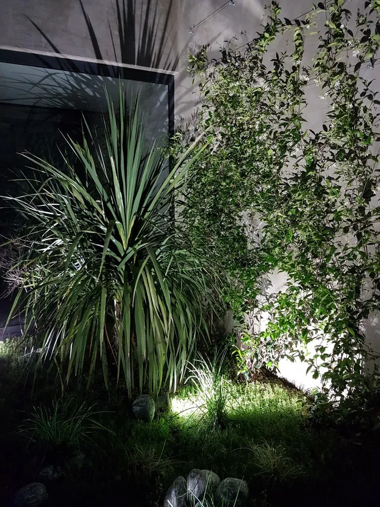 Par quel paysagiste faire aménager des patios végétalisés harmonieux à Parentis-en-Born et Sanguinet dans les Landes ?