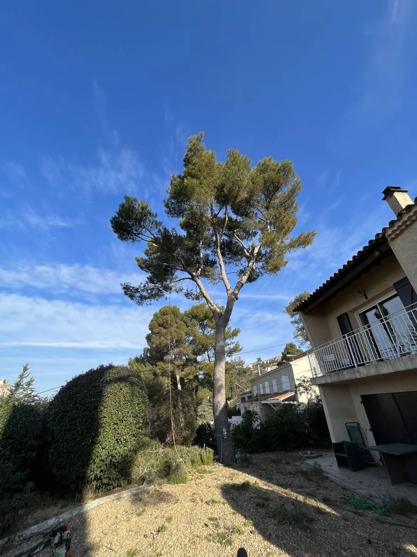 Paysagiste pour demontage d arbre en technique de retention Vitrolles Paysagiste pour demontage d arbre en technique de retention Vitrolles