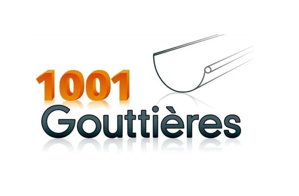 Logo 1001 gouttieres