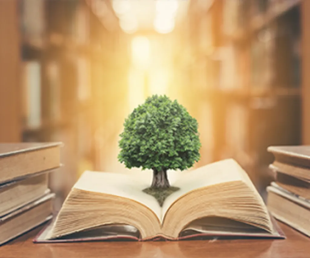 La loi sur la destruction des archives, papiers et supports informatiques en Nouvelle Aquitaine et Occitanie 