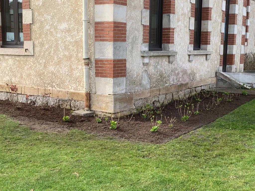 Plantes fleuries pour votre jardin : quel paysagiste choisir pour un projet sur mesure à Parentis-en-Born