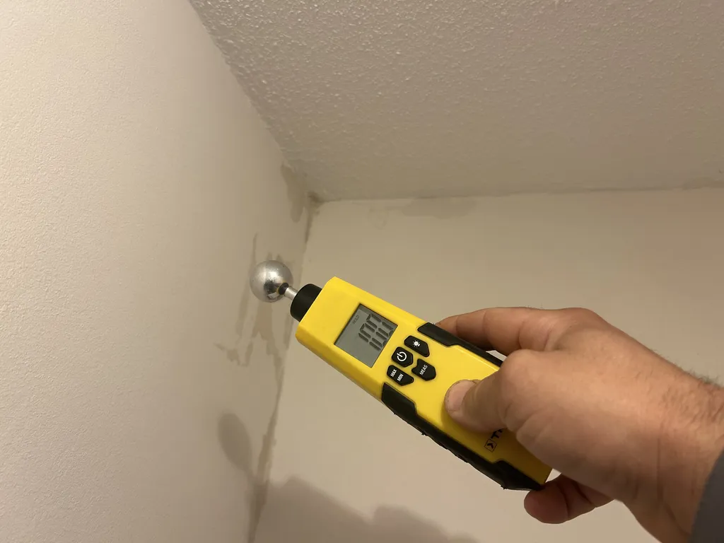 Technique de détection de fuite d'eau non destructive à Vierzon dans le 18 suite à un dégât des eaux