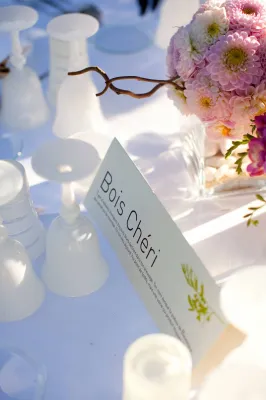 wedding planner bastide luxe 84