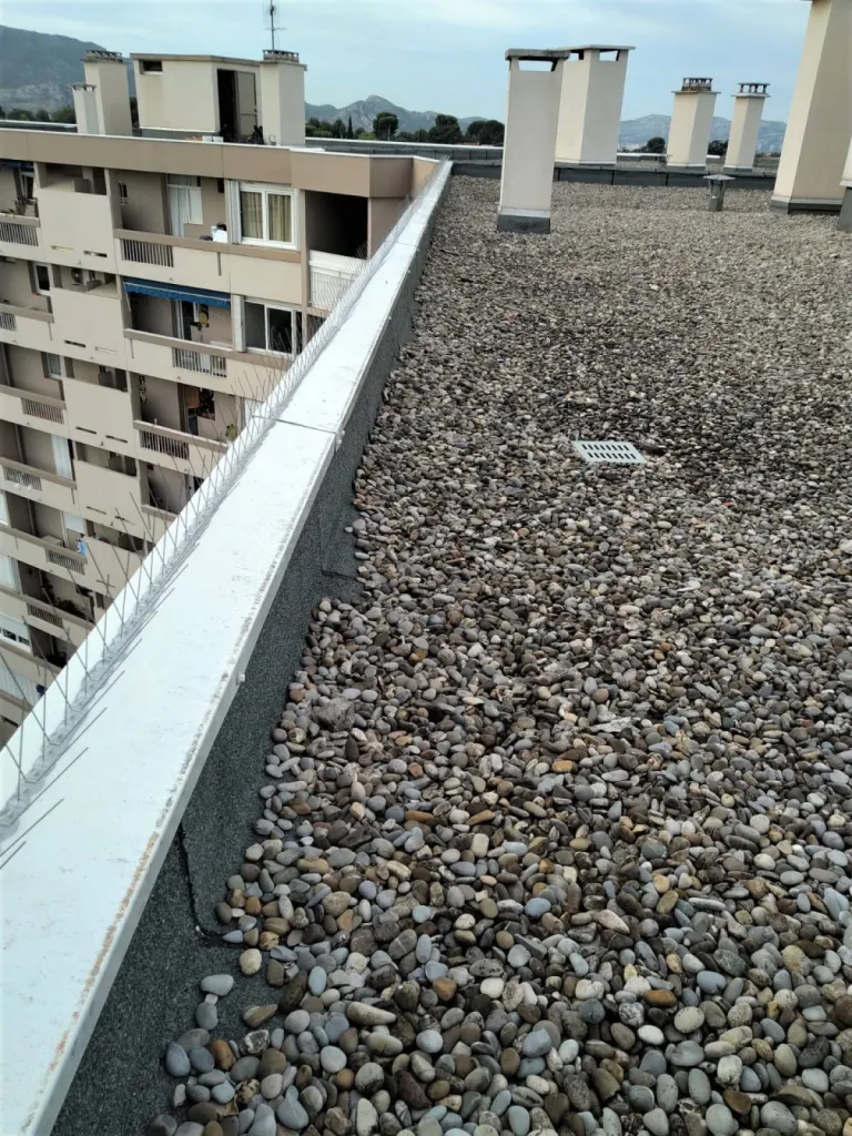piques anti pigeons miramas