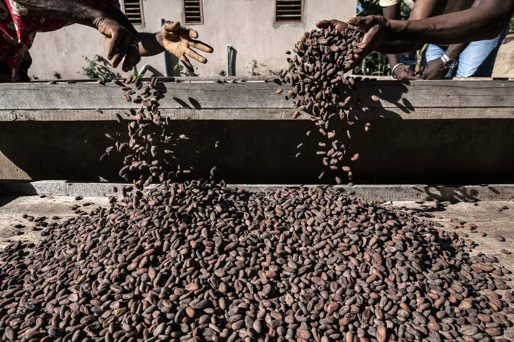 La Plantation Terrakoa, au cœur du Sambirano