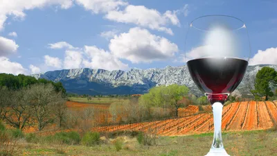 Circuits œnologiques et gastronomiques près de Thecamp Hotel à Aix-en-Provence