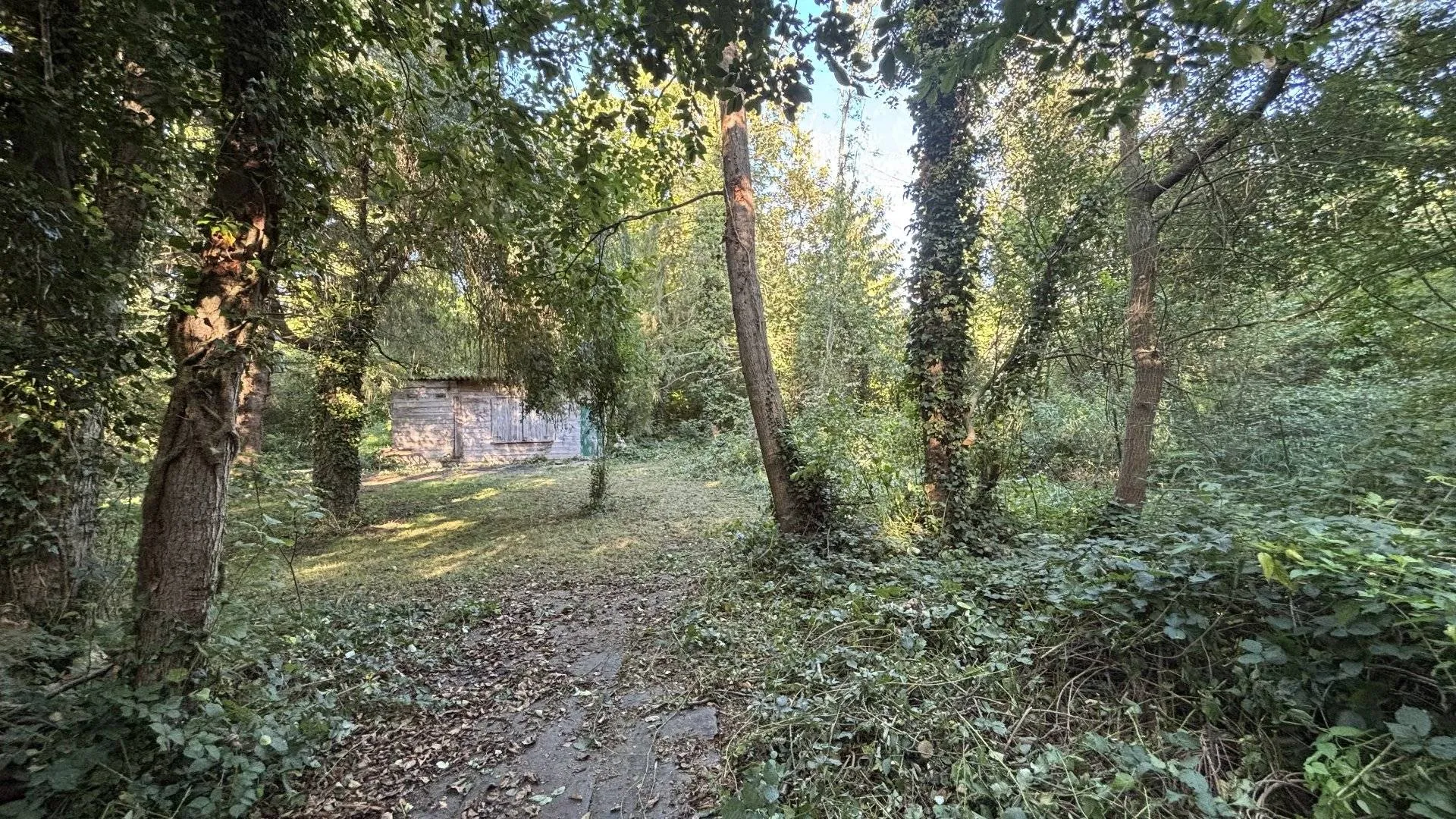 Achat terrain Monchaux Soreng