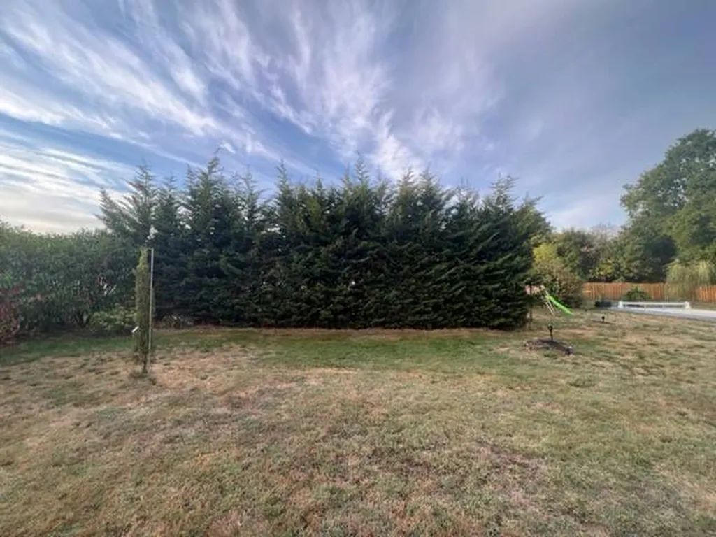 Choisir un professionnel pour rabattre une haie de cyprès dans les Landes