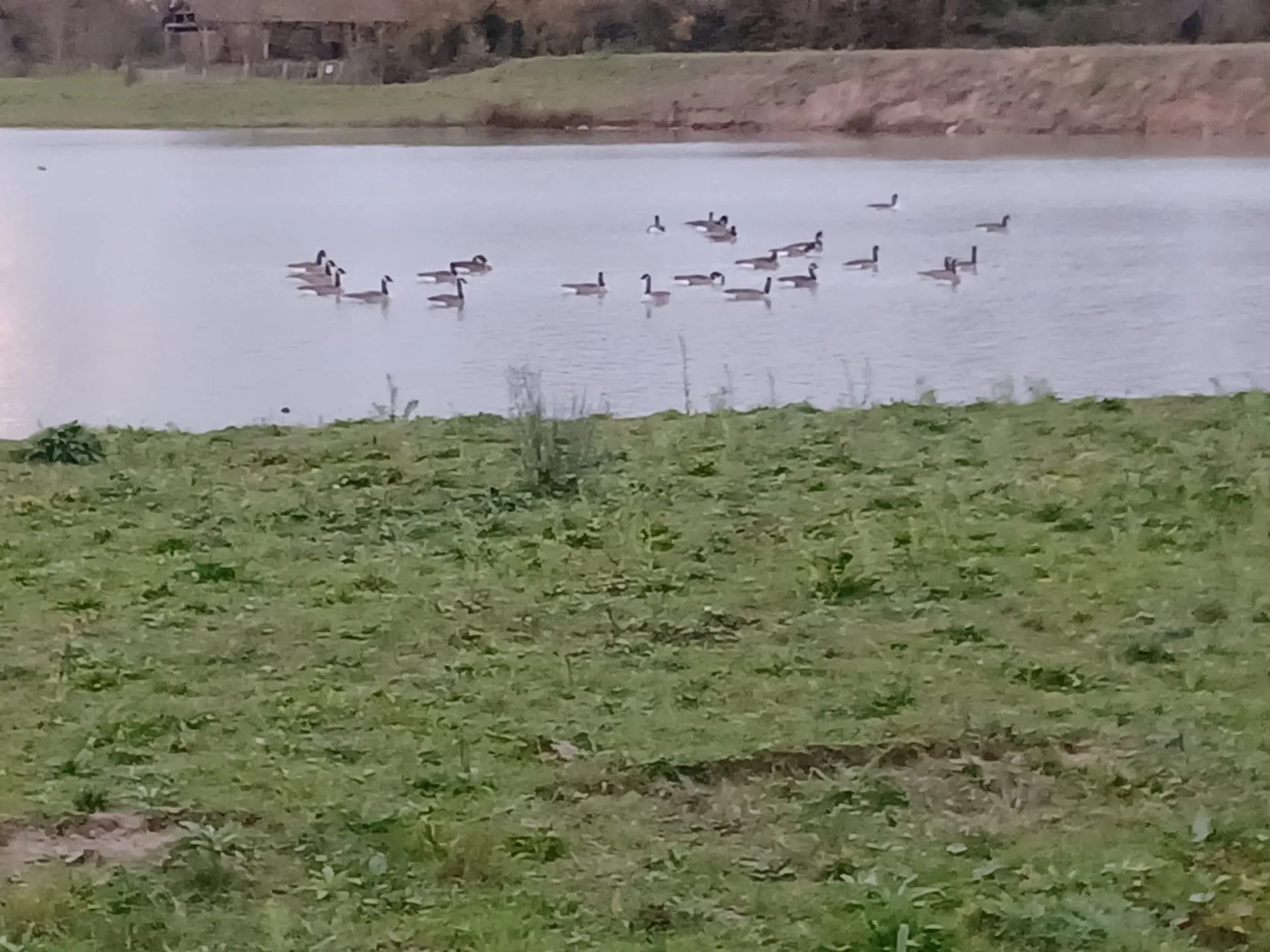 acheter un haras en sarthe avec grand terrain de 17ha