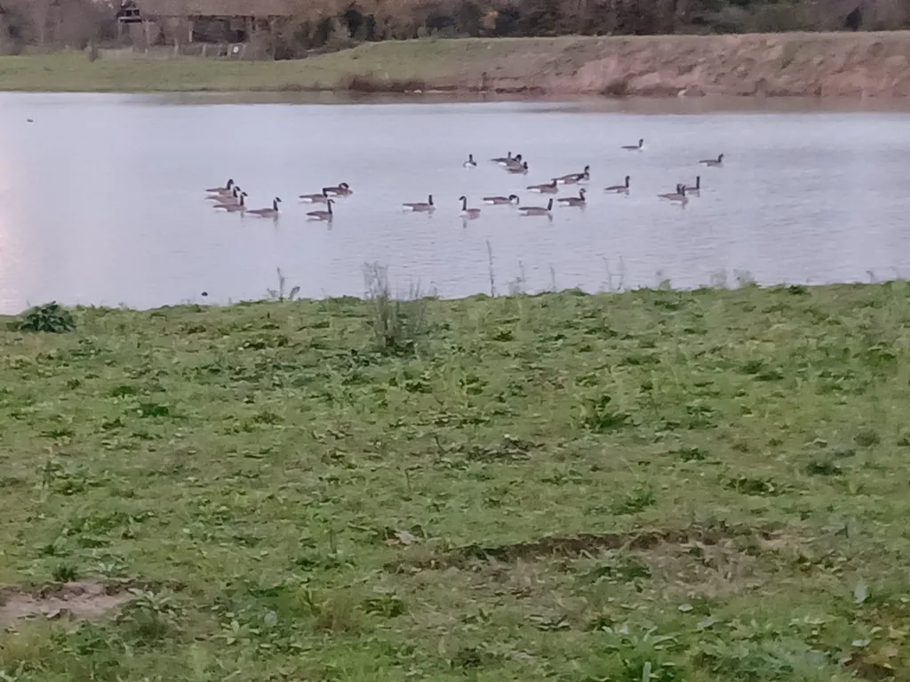 acheter un haras en sarthe avec grand terrain de 17ha