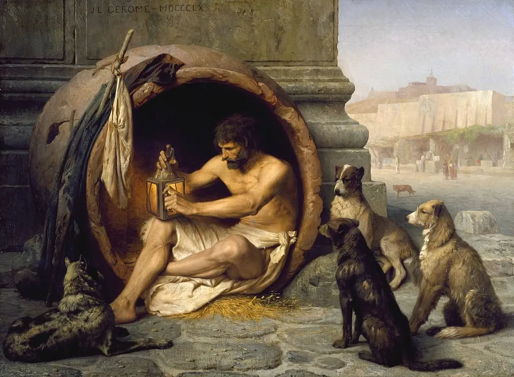 Débarras toulon syndrome de diogène