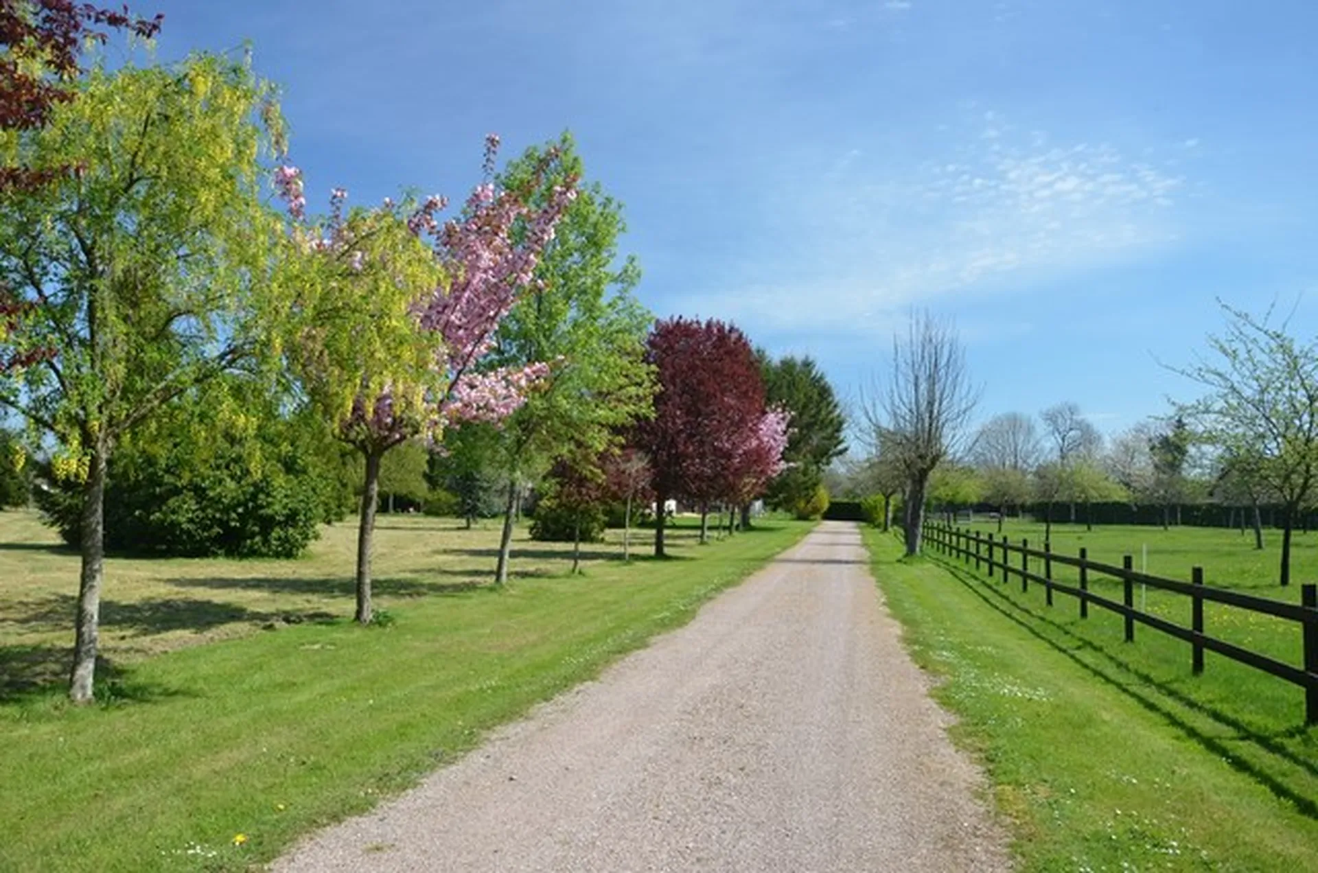 HARAS ET PROPRIETE EQUESTRE A VENDRE PROCHE LISIEUX CALVADOS 14
