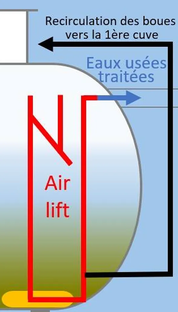 Evacuation Epuration