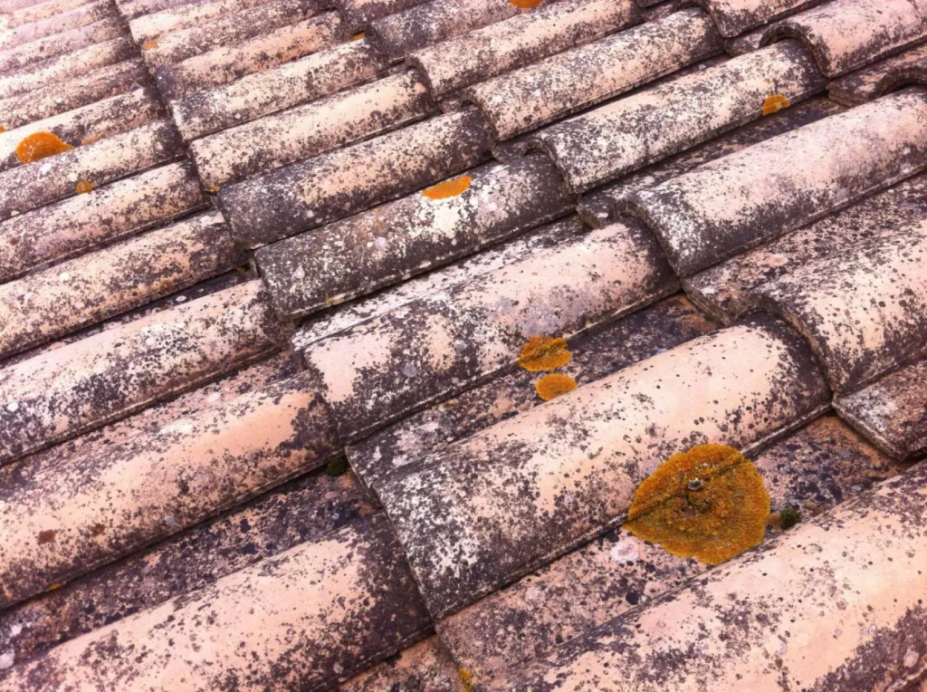 toiture avec mousse avant nettoyage sur tuile terre cuite sur martigues