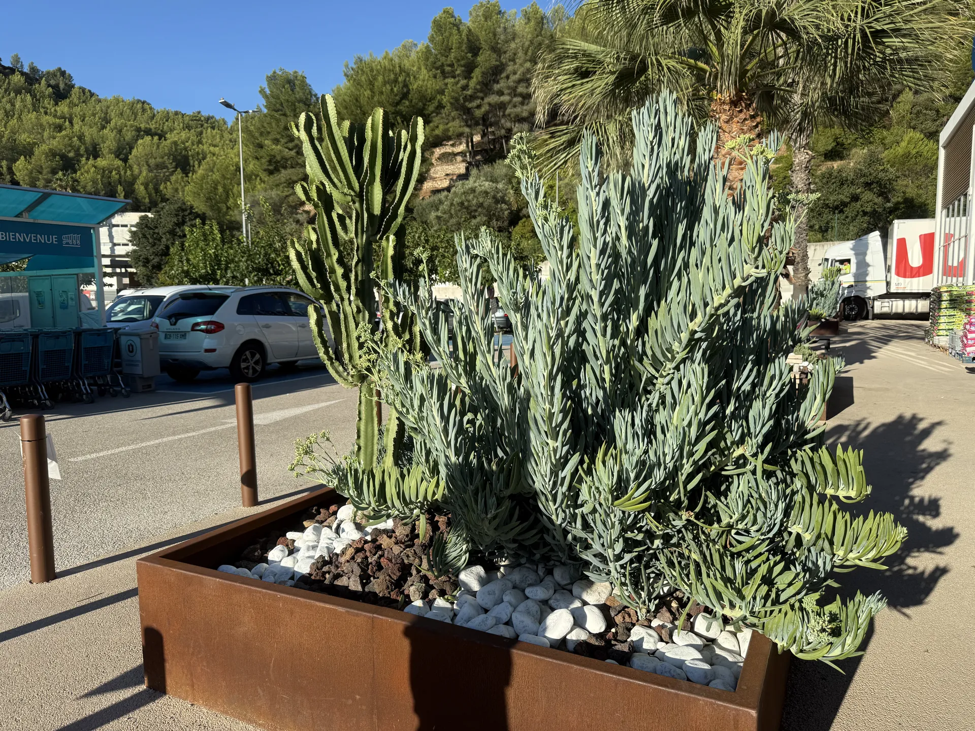 Rognage de souche et reprise d’enrobé à Bandol – Jardivar