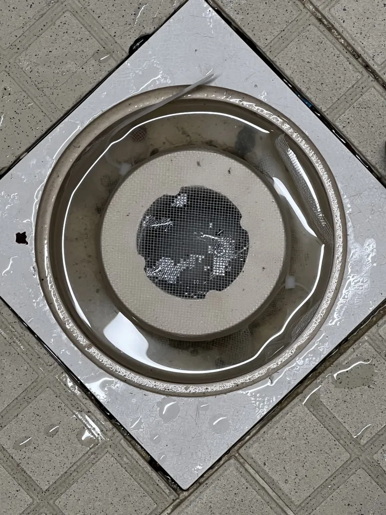 Traitement de cafards dans un restaurant à Avignon dans le Vaucluse (84)