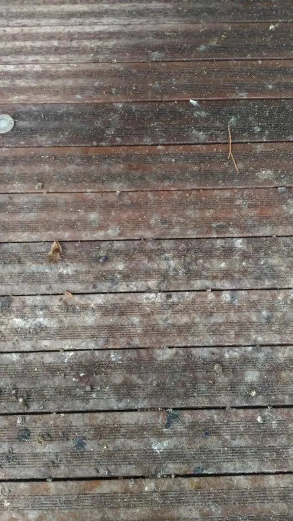 crottes de pigeons sur terrasse à eguilles 13510