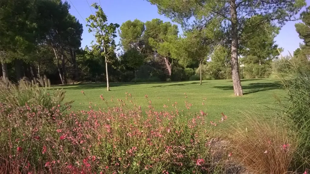Amenagement jardin exterieur devant maison Velaux