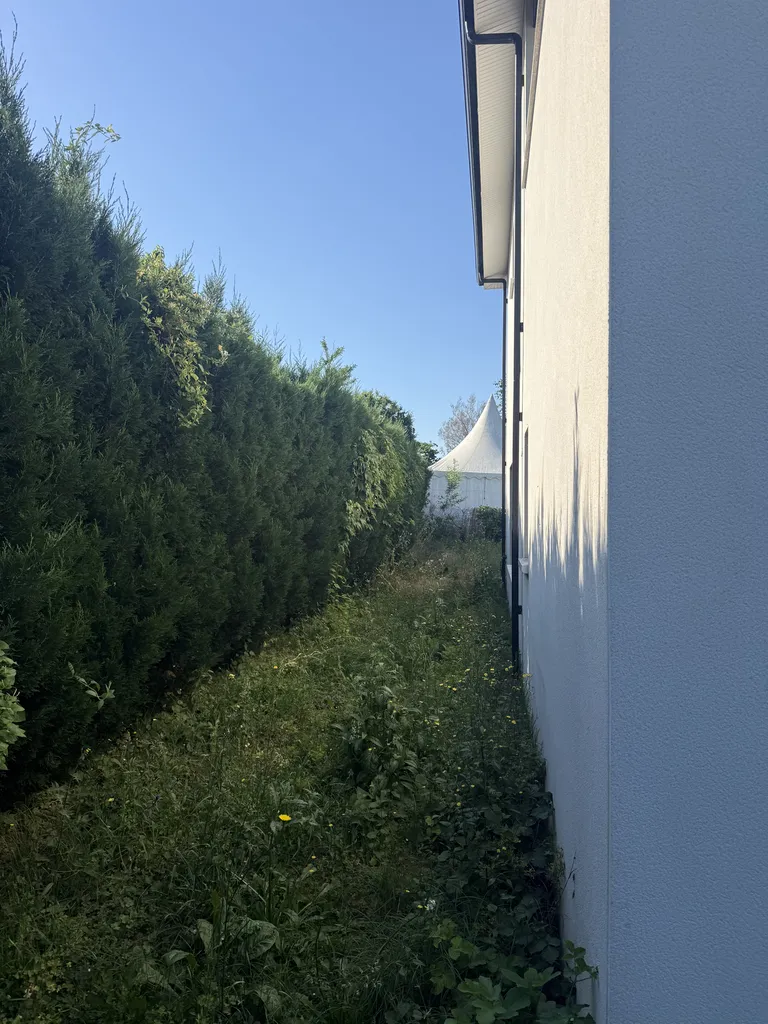 Remise en état complète d’un jardin avec tonte et taille de haies à Balma proche de Toulouse avant remise en location