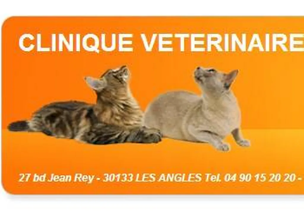 FAIRE SOIGNER SON CHIEN AVIGNON CLINIQUE VETERINAIRE DE BELLEVUE