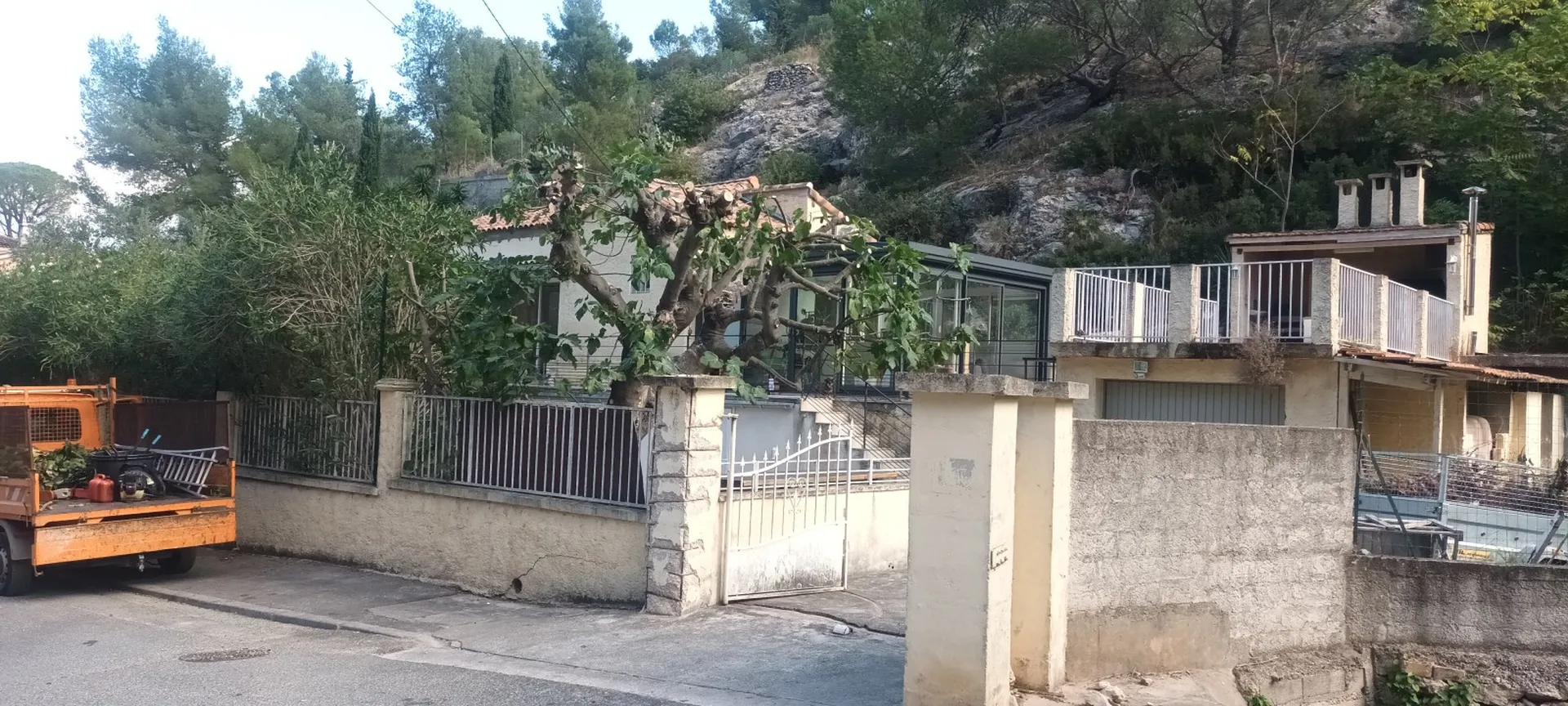 Élagage d un figuier à Marseille proche d'Aubagne