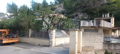 Élagage d un figuier à Marseille proche d'Aubagne