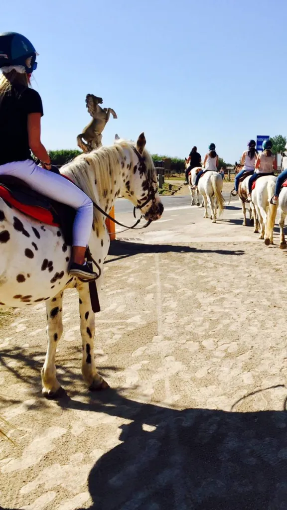 Sorties scolaires à cheval au Grau-du-Roi