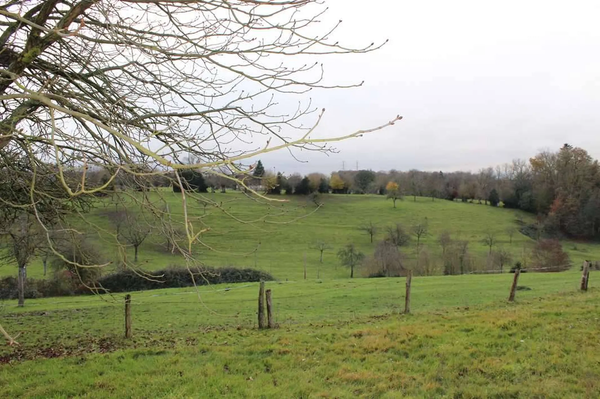 Vue dégagée pour cette petite normande