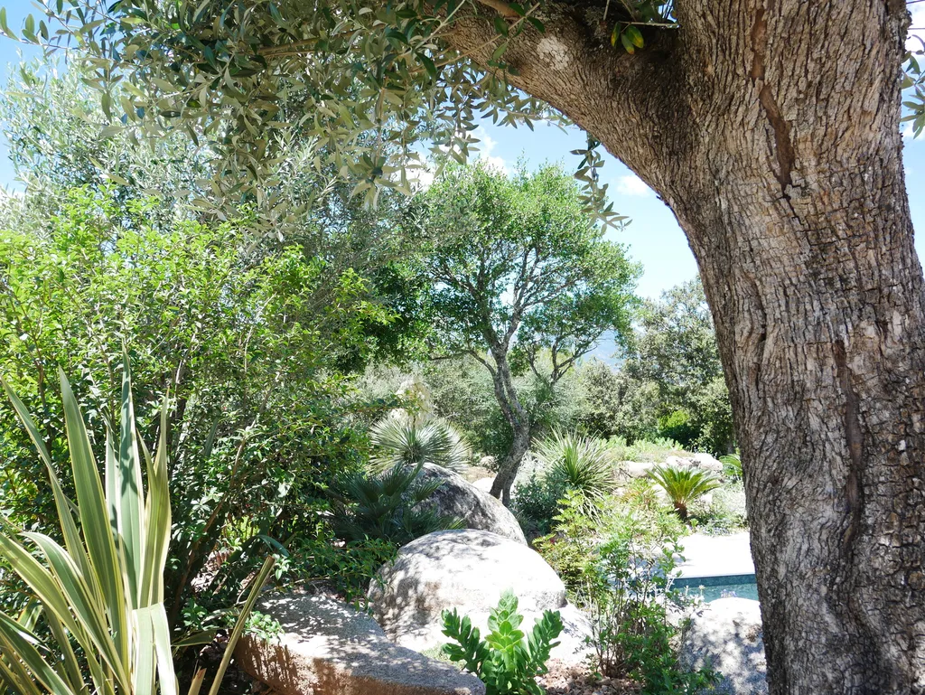 Aménagement paysager complet avec plantations méditerranéennes, pavage granit et éclairage de jardin sur mesure en Corse