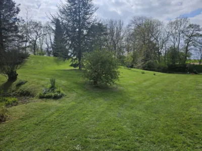 Comment garder un beau gazon tout l'été