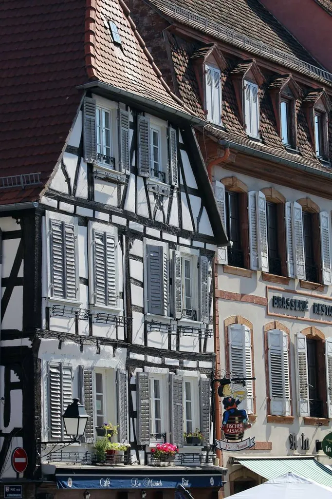 Chargements express de palettes à Mulhouse