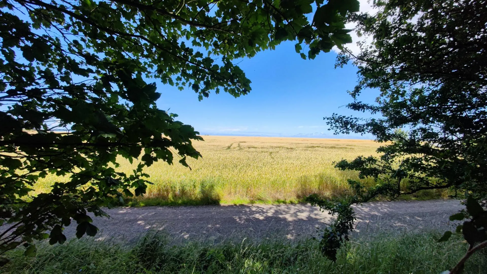 Terrain de 1411 m² avec bâtiments, proche mer de Dieppe (76)