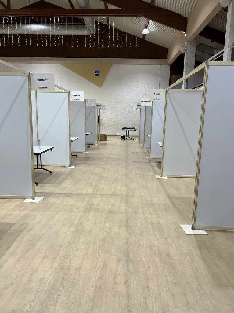 Aménagement du Salon