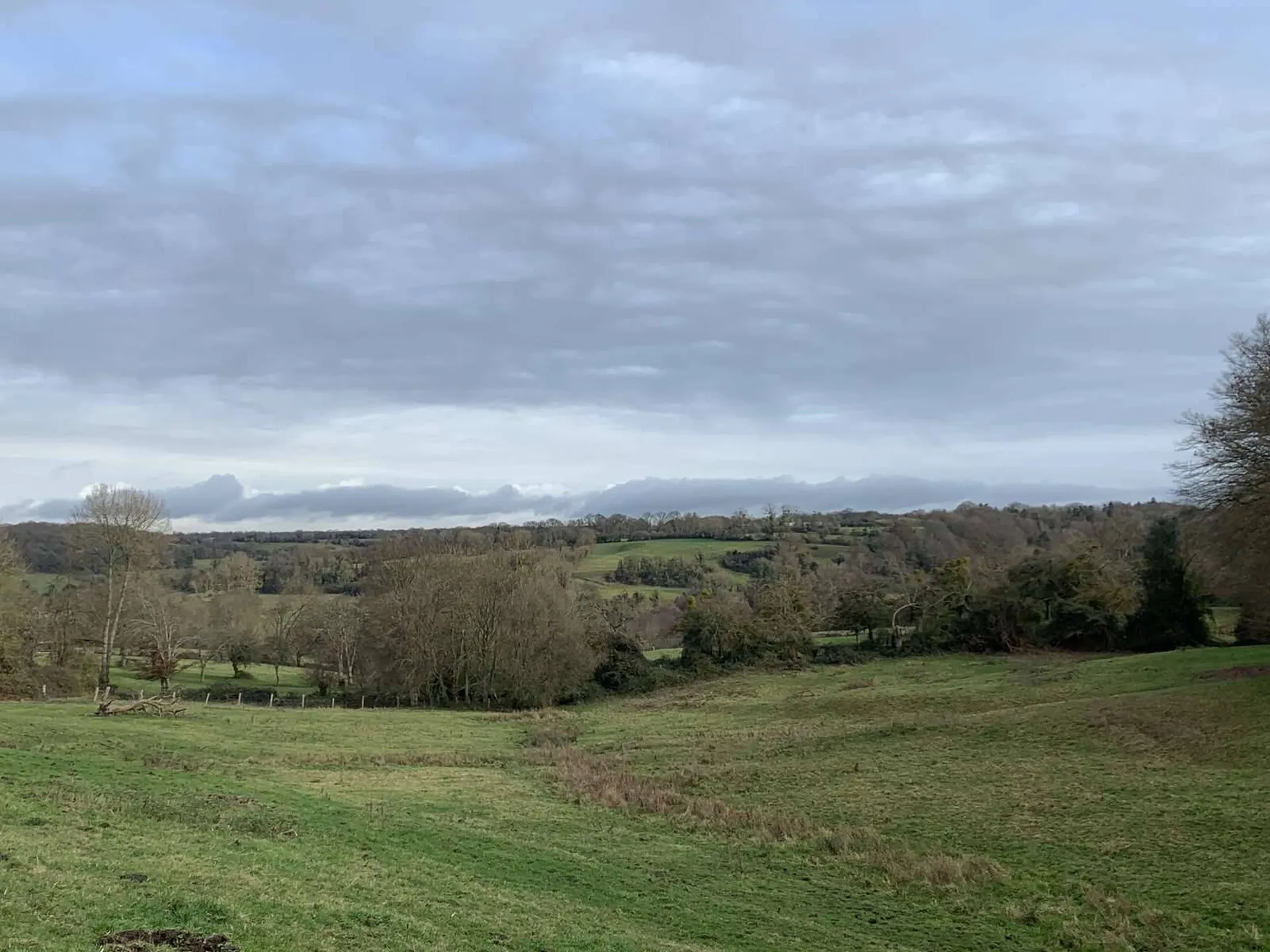 Vente d'un Domaine Agricole avec Manoir en colombages à restaurer et 20 hectares de prairies, dans le PAYS D'AUGE DU CALVADOS 14