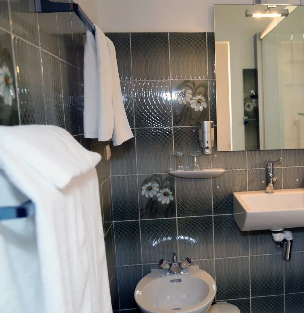 Ch V4 SDB Bormes les Mimosas