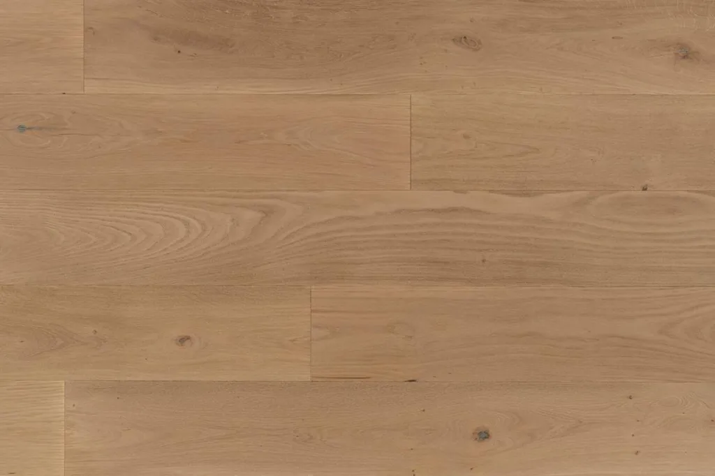 Narvik Umber à Toulon 