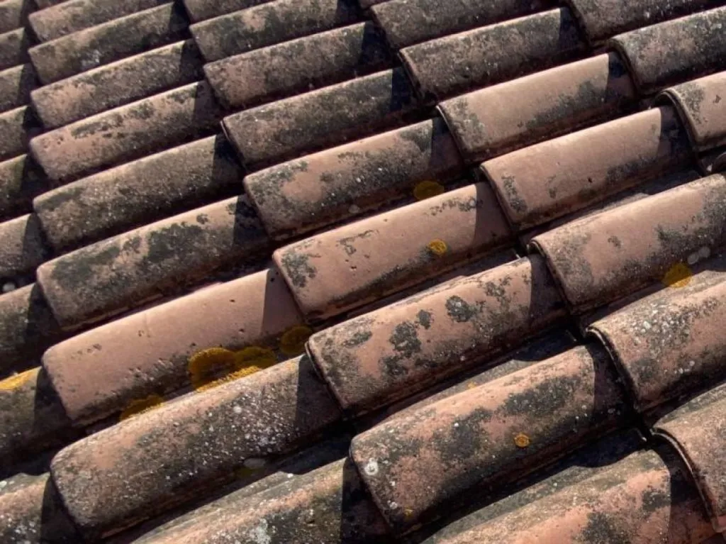 tuiles avant traitement sur marignane