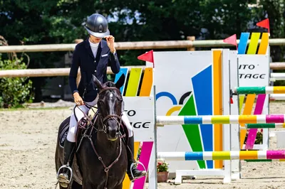 concours equestre